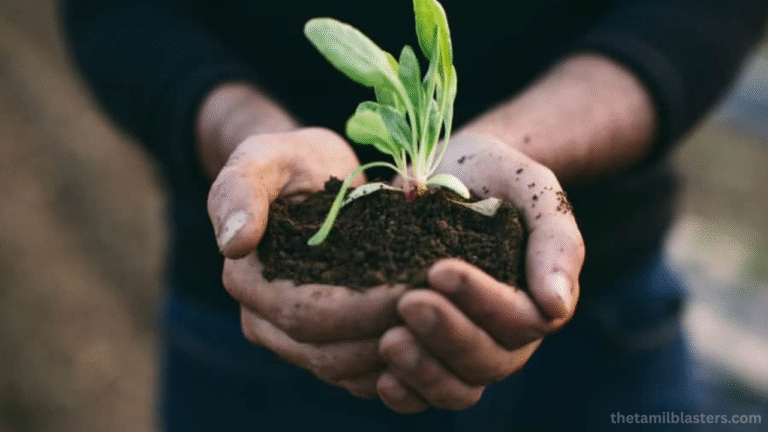 Eco-Friendly Lifestyle Tips